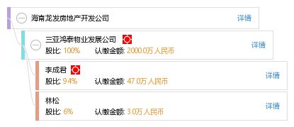 海南龍發(fā)房地產(chǎn)開發(fā)公司 企業(yè)信息綜合查詢與房地產(chǎn)咨詢指南